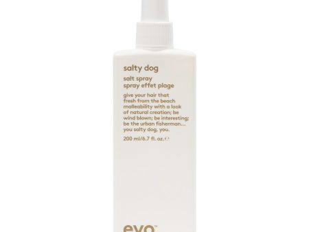 Evo Salty Dog Salt Spray 200ml For Cheap