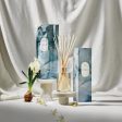 CIRCA Oceanique Fragrance Diffuser Refill 250ml Online now